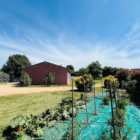 Villa Charmante Avec Piscine Appietto