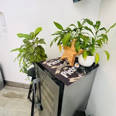 Charmante Avec Piscine * Appietto