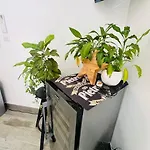 Charmante Avec Piscine * Appietto