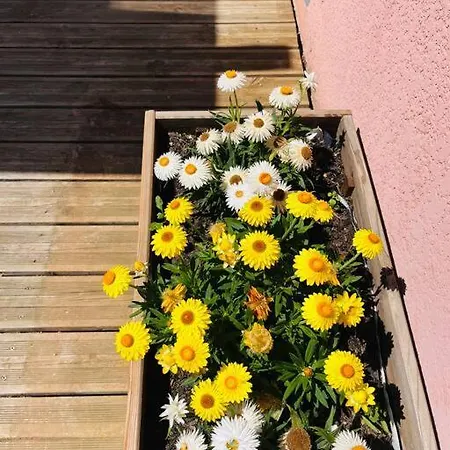 Charmante Avec Piscine *